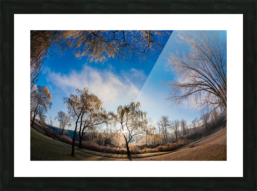 DL101103 066 Picture Frame print
