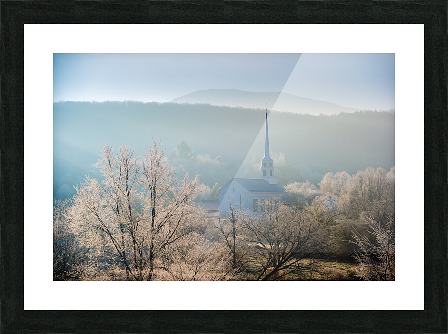 DL101103 055b Picture Frame print