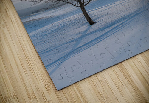 DL100203 12 Don Landwehrle puzzle