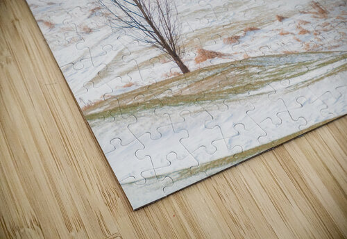 DL100203 25 Don Landwehrle puzzle