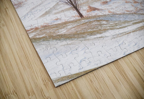 DL100203 31 Don Landwehrle puzzle