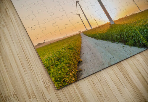 DL100823 115 Don Landwehrle puzzle