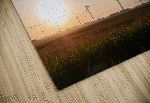 DL100823 048 Don Landwehrle puzzle
