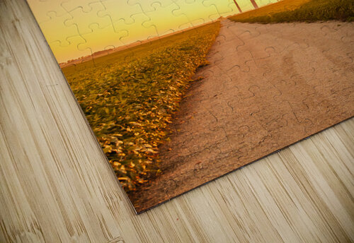 DL100823 109b Don Landwehrle puzzle