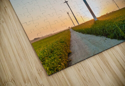 DL100823 113 Don Landwehrle puzzle
