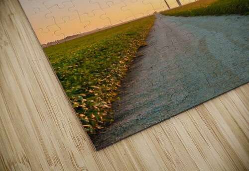 DL100823 109 Don Landwehrle puzzle