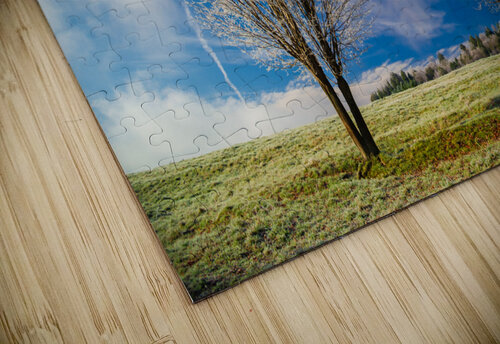 DL101103 298 Don Landwehrle puzzle