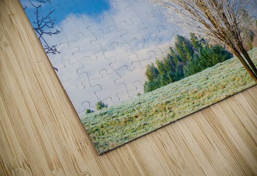 DL101103 259 Don Landwehrle puzzle