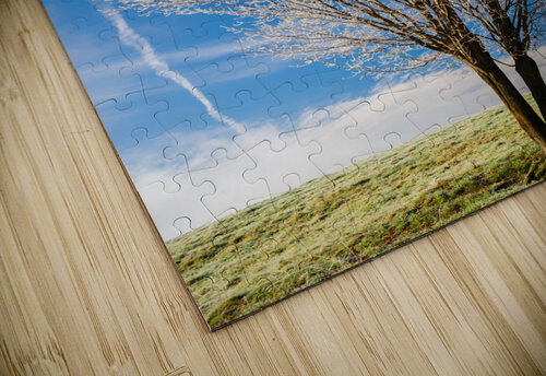 DL101103 288 Don Landwehrle puzzle