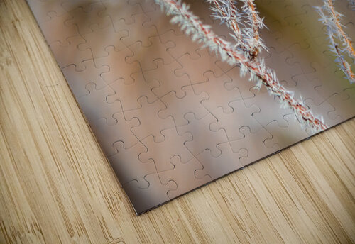 DL101103 099 Don Landwehrle puzzle
