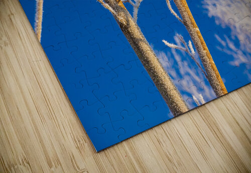 DL101103 200 Don Landwehrle puzzle