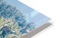 DL101103 228 HD Metal print