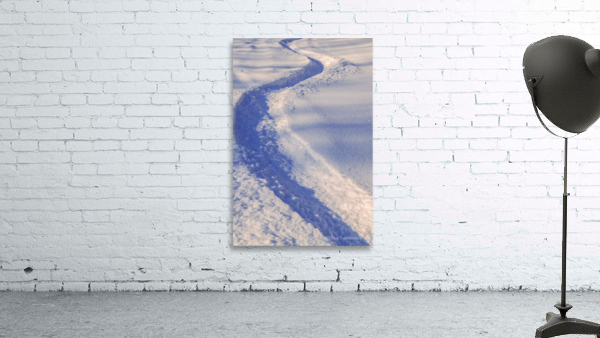 B08814a Wall Preview