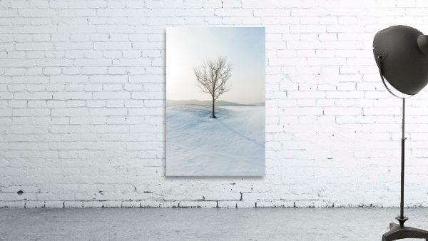 DL100203 40 Wall Preview