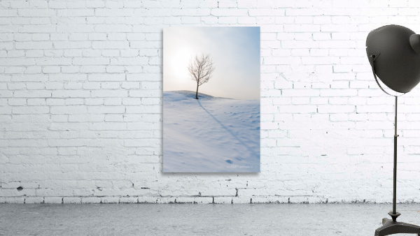 DL100203 44 Wall Preview