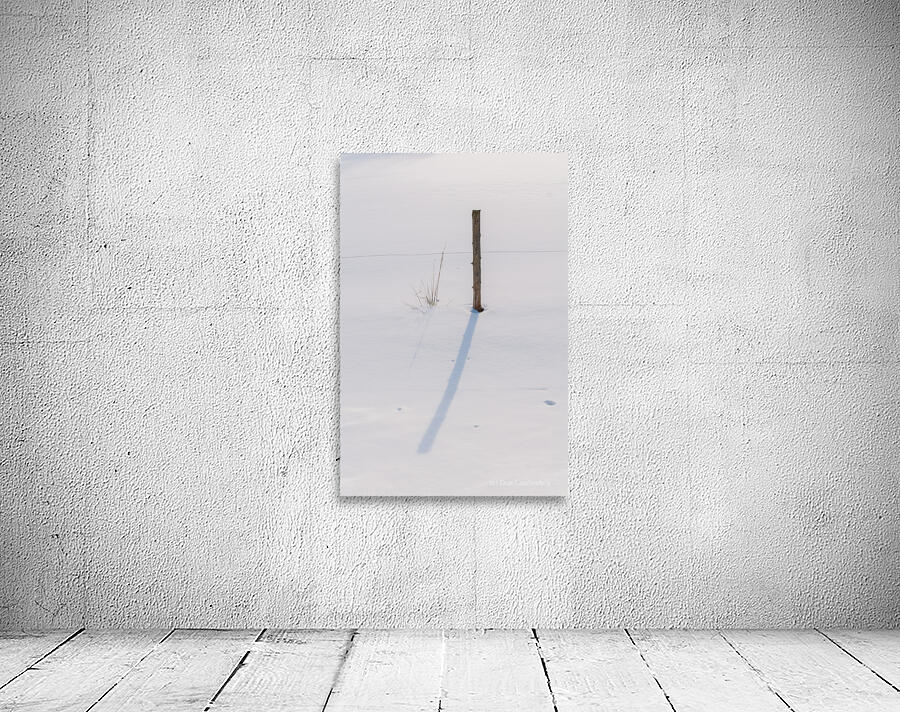DL100203 51 Wall Preview