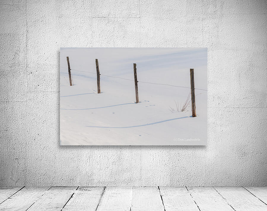 DL100203 49 Wall Preview