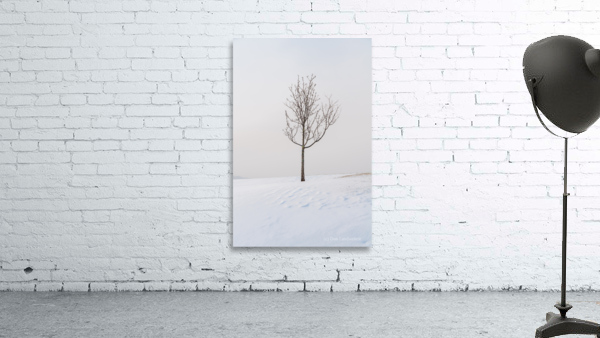 DL100203 38 Wall Preview