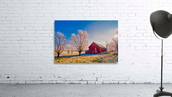 DL101103 318a Wall Preview