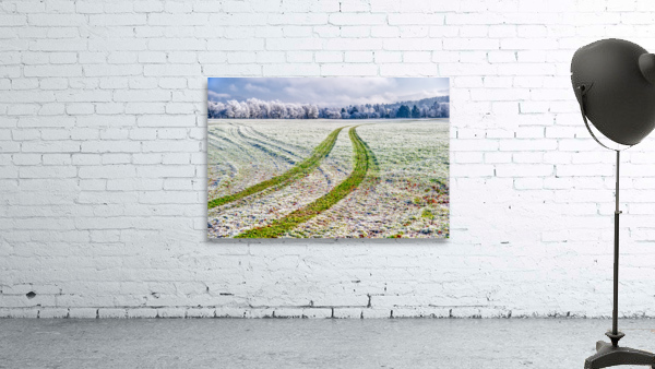 DL101103 338b Wall Preview