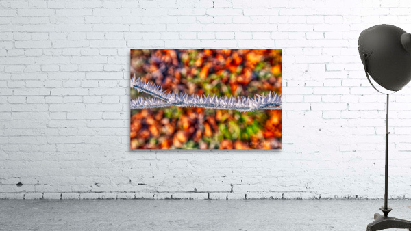 DL101103 280a Wall Preview