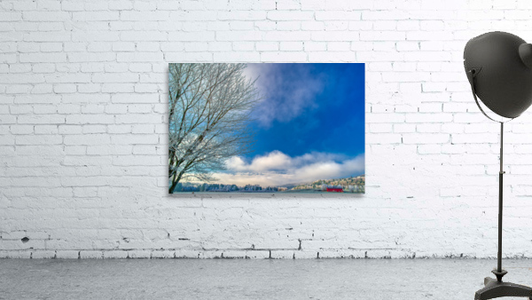 DL101103 223a Wall Preview