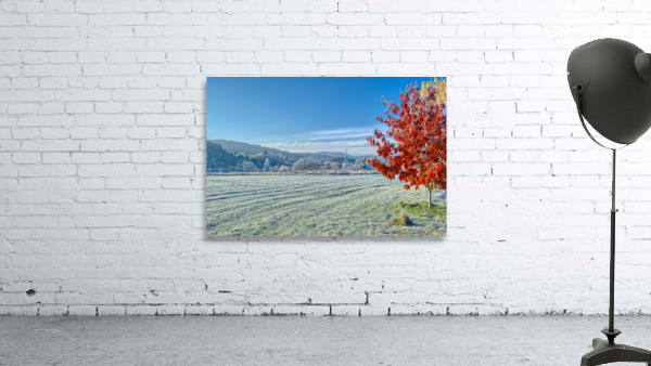 DL101103 142a Wall Preview