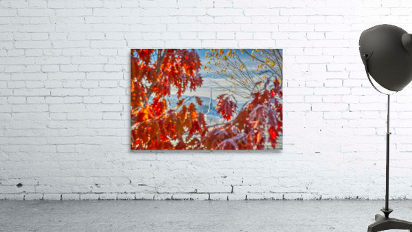 DL101103 144a Wall Preview