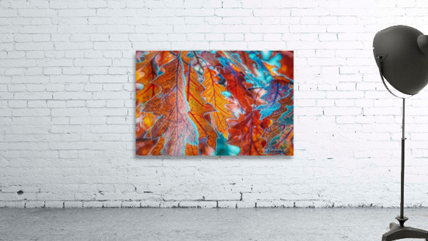DL101103 151a Wall Preview