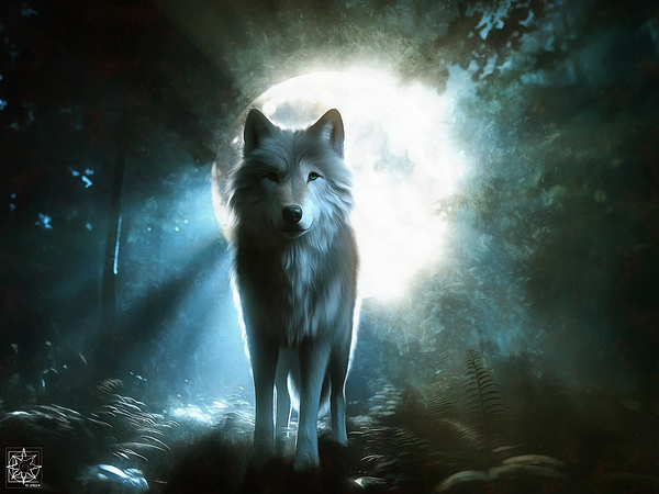 The Moon Singer  2 Digital Download