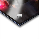 Dust Warrior Acrylic print