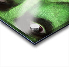 The Green Woman 3 Acrylic print