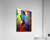 Crow Acrylic Print