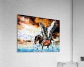 Pegasus Acrylic Print