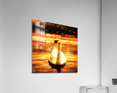 Leda Acrylic Print