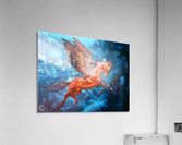 Sky Dancing Acrylic Print