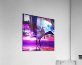 Winged Universe Acrylic Print