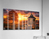 Backyard Acrylic Print