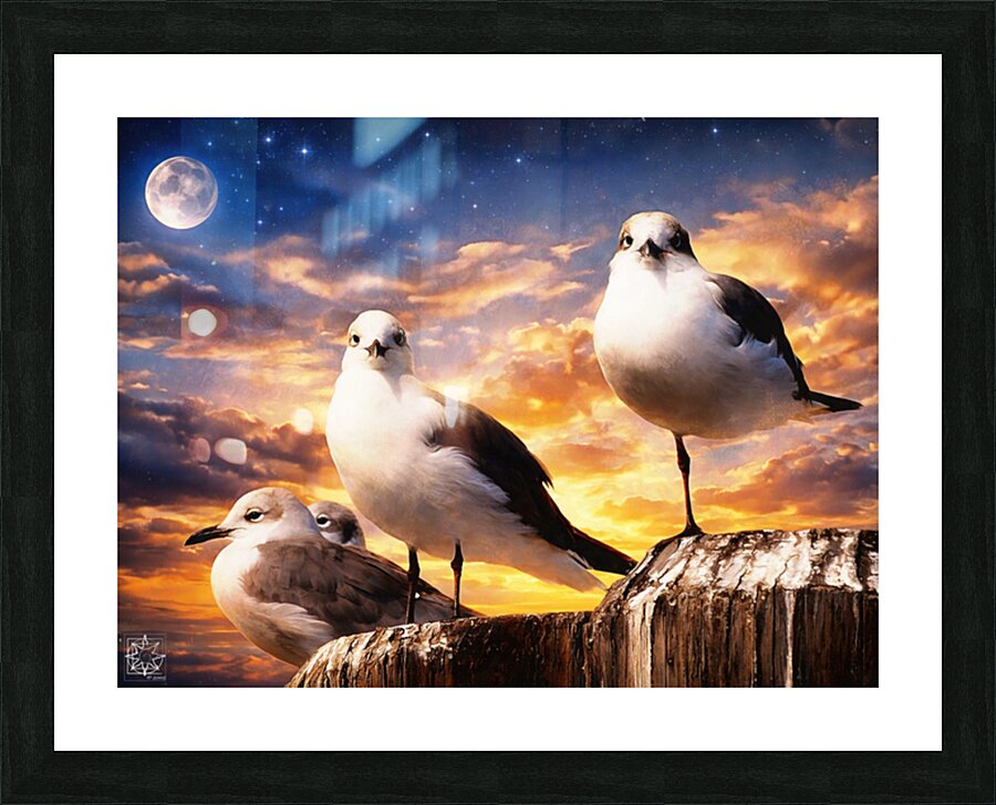 Seagulls Picture Frame print
