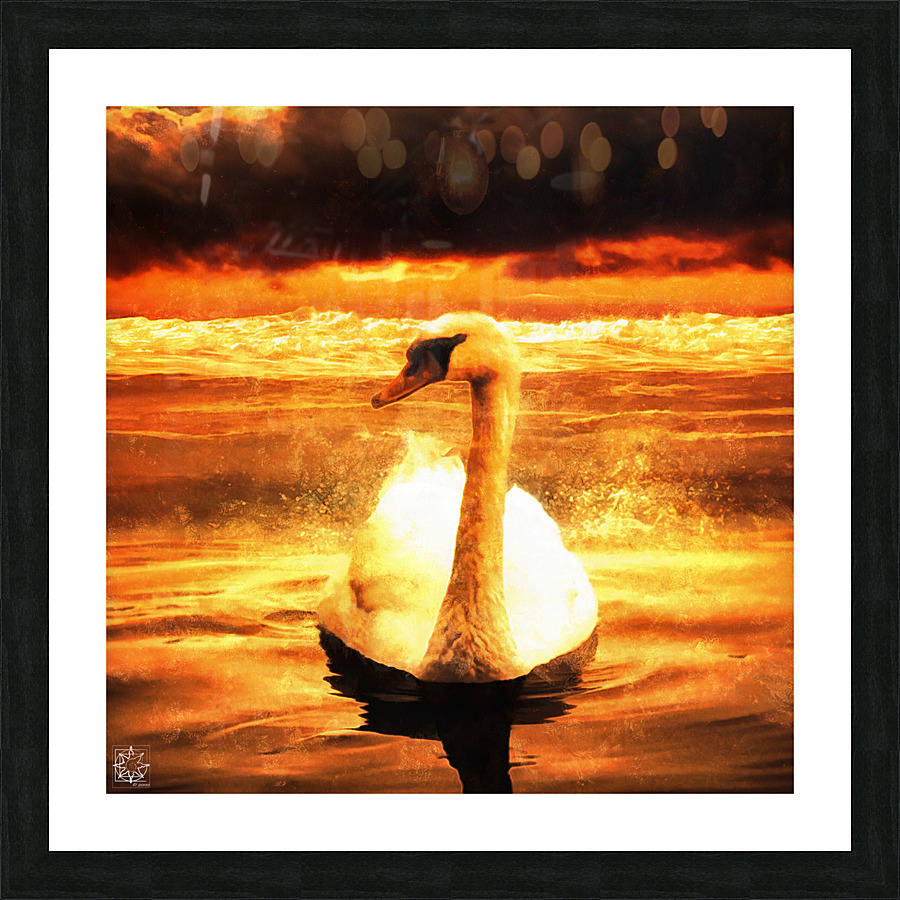 Leda Picture Frame print