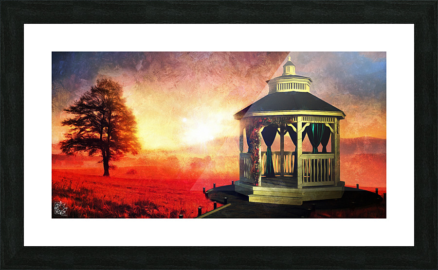 Backyard Picture Frame print