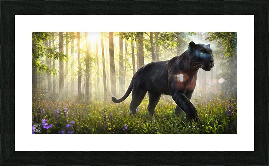 Misty Morning Picture Frame print