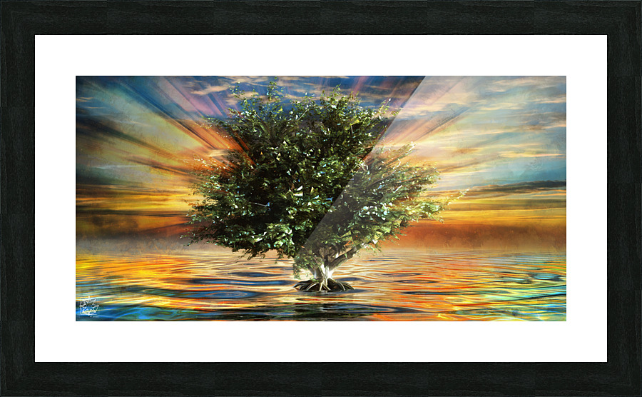 Aquam Ligno Picture Frame print