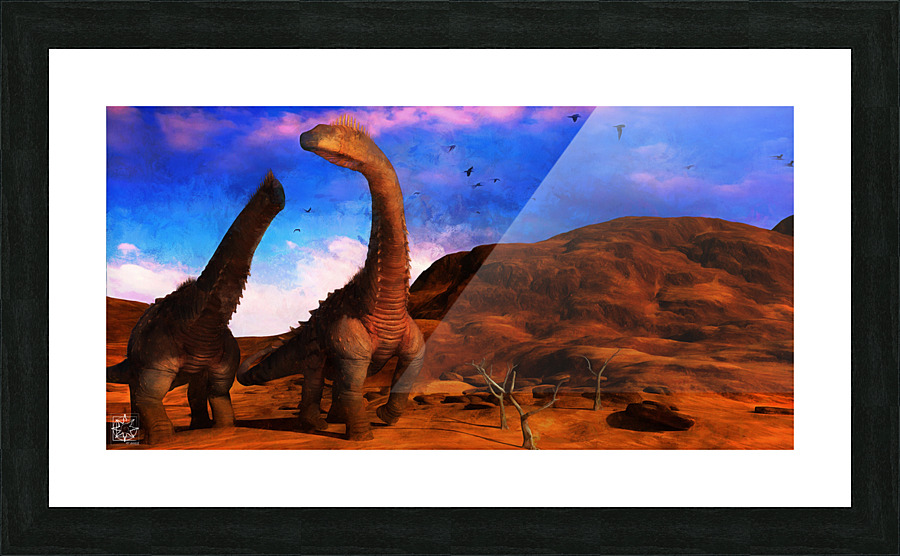 Badlands Picture Frame print