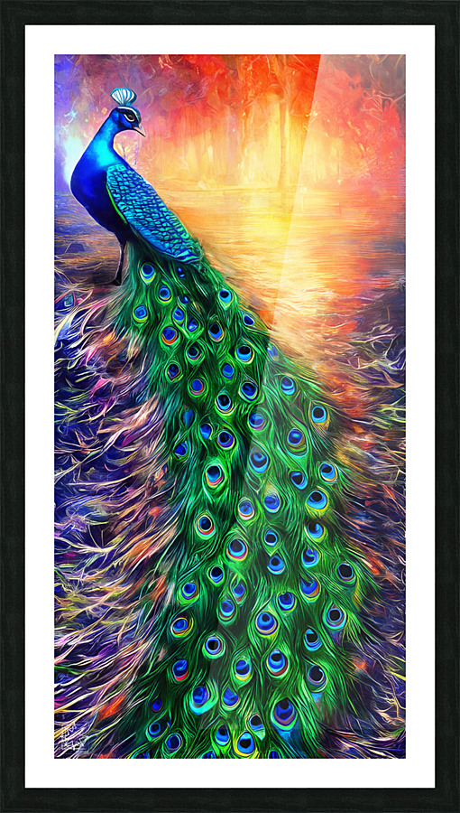 Peacock Picture Frame print