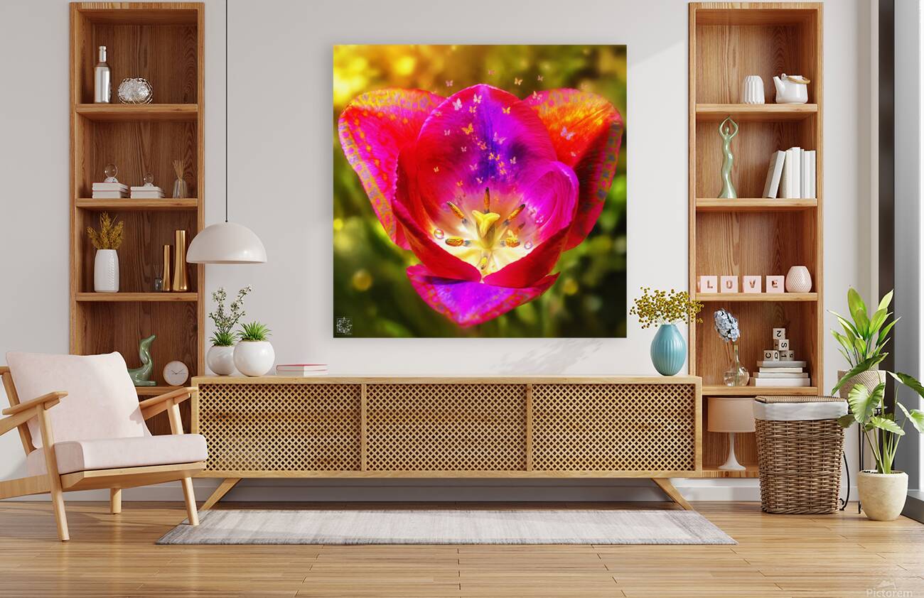 Tulipa Reproduction
