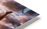 Drishti or Focus HD Metal print