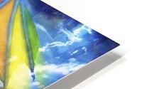 Irradiant Wings HD Metal print