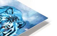 Star Spirit HD Metal print