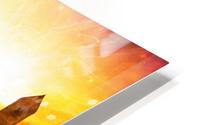Five HD Metal print